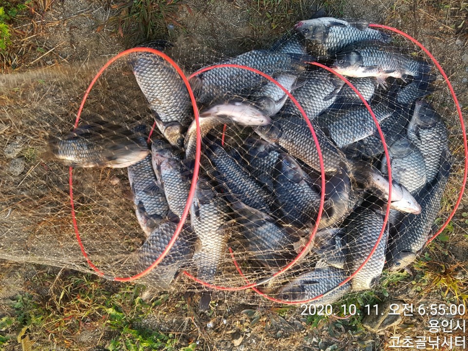 1602370268285-26.jpg