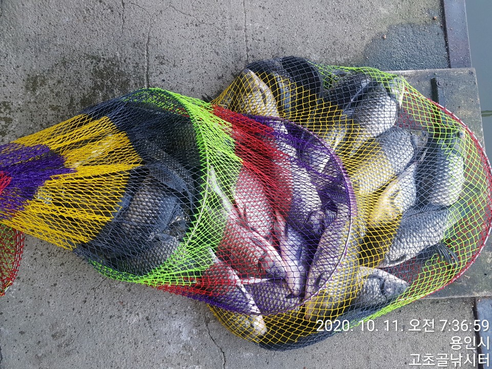 1602370279826-14.jpg