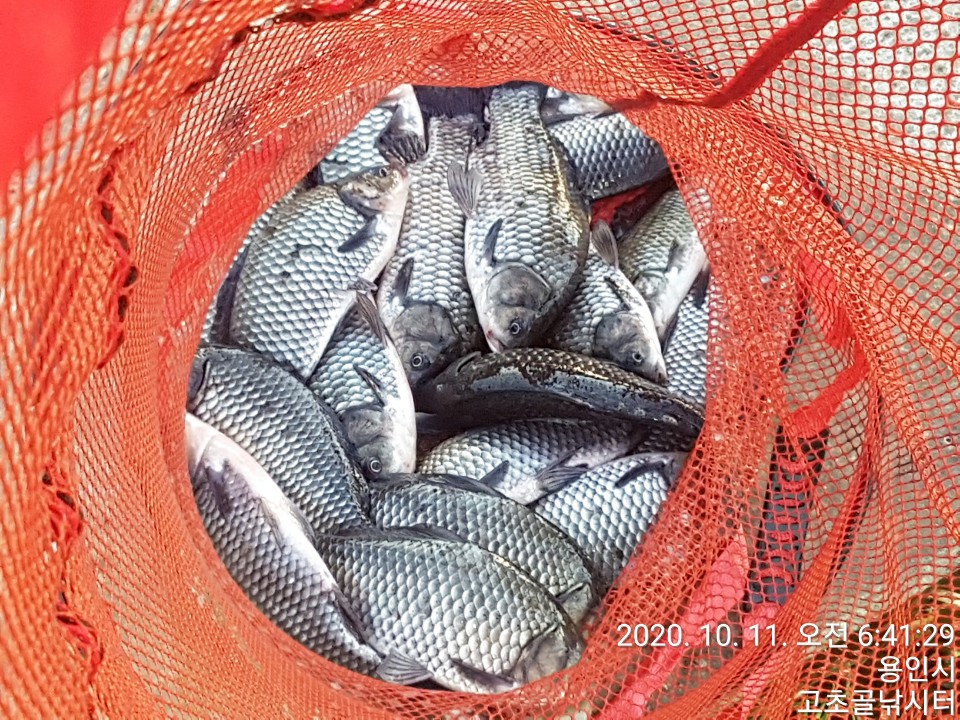 1602370268285-14.jpg