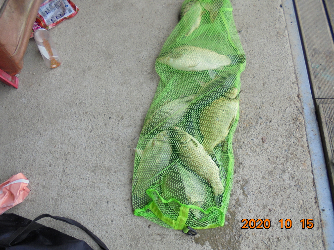 ϰ_DSC04875.JPG