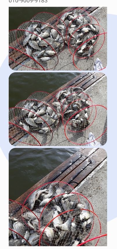 ¹®ÀÚ.JPG