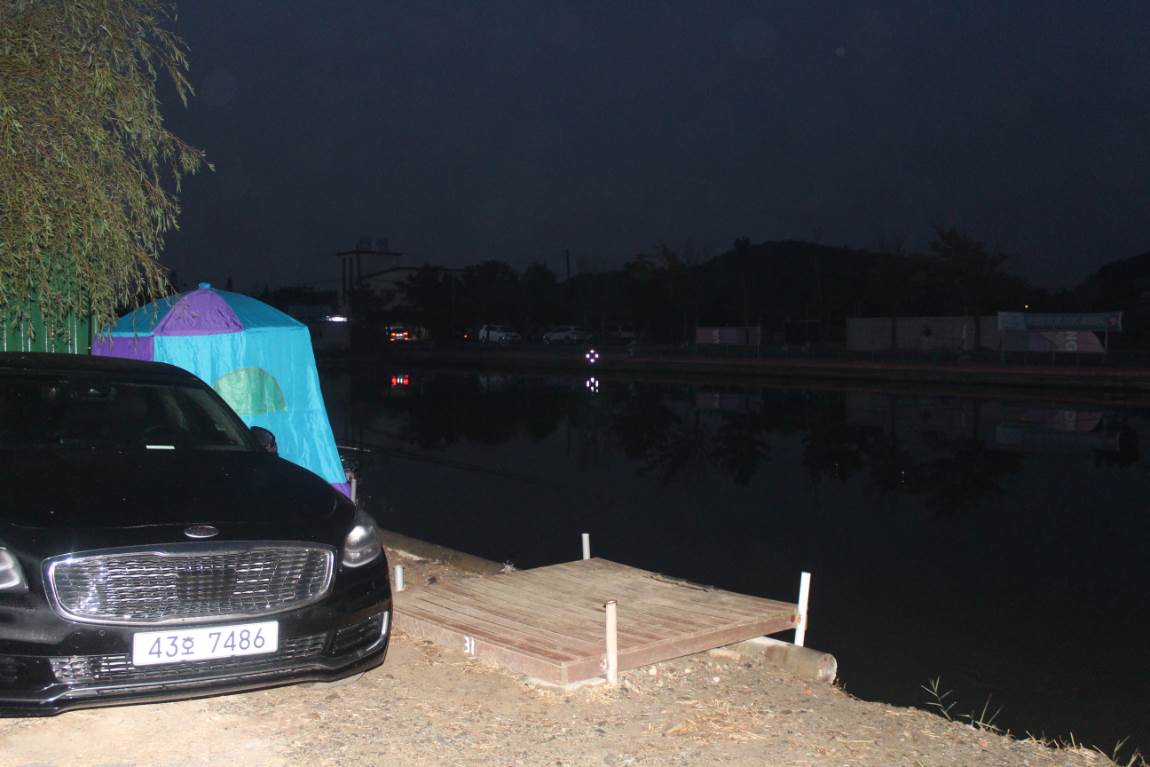 010.JPG