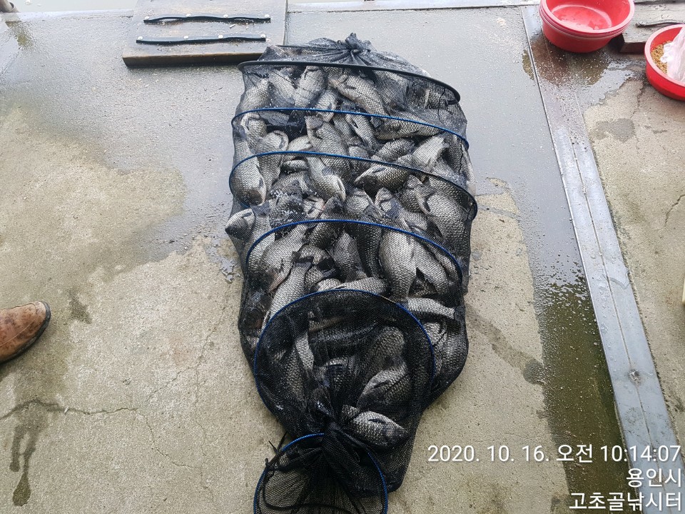 1602813020714-1.jpg