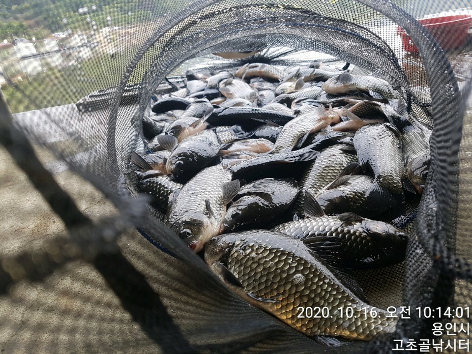 1602813020714-2.jpg
