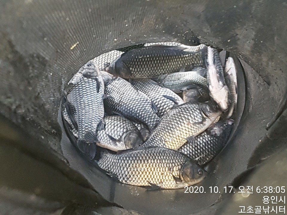 1602892587952-24.jpg