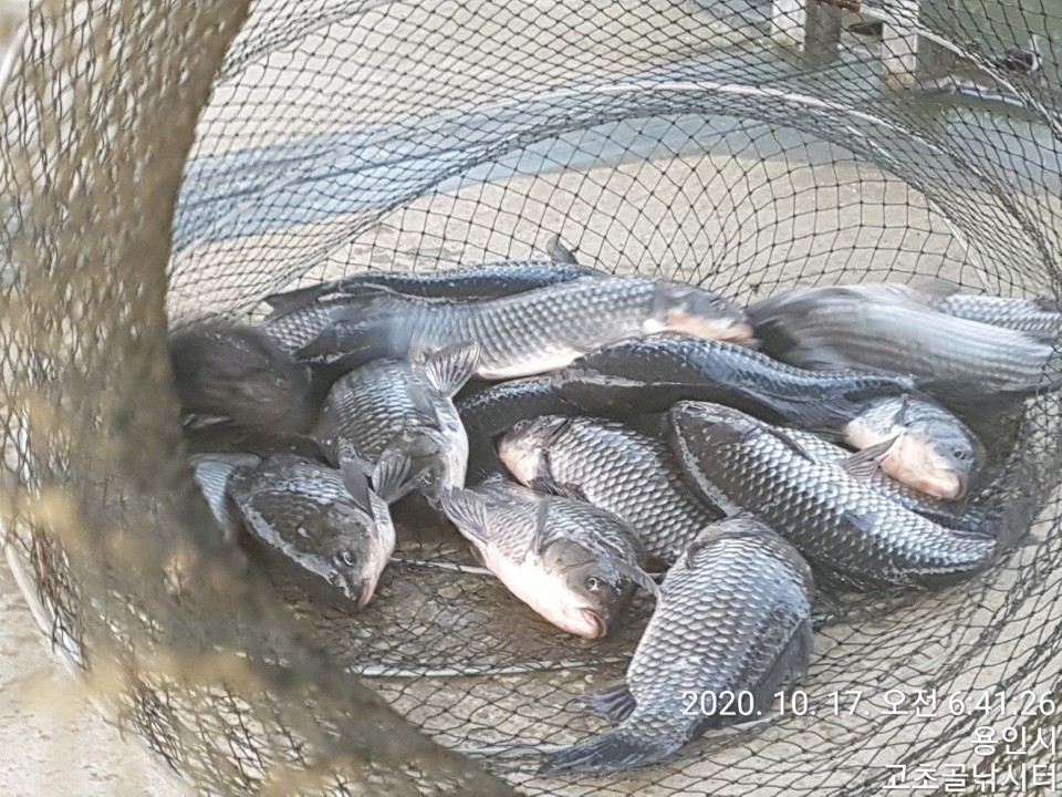 1602892587952-26.jpg