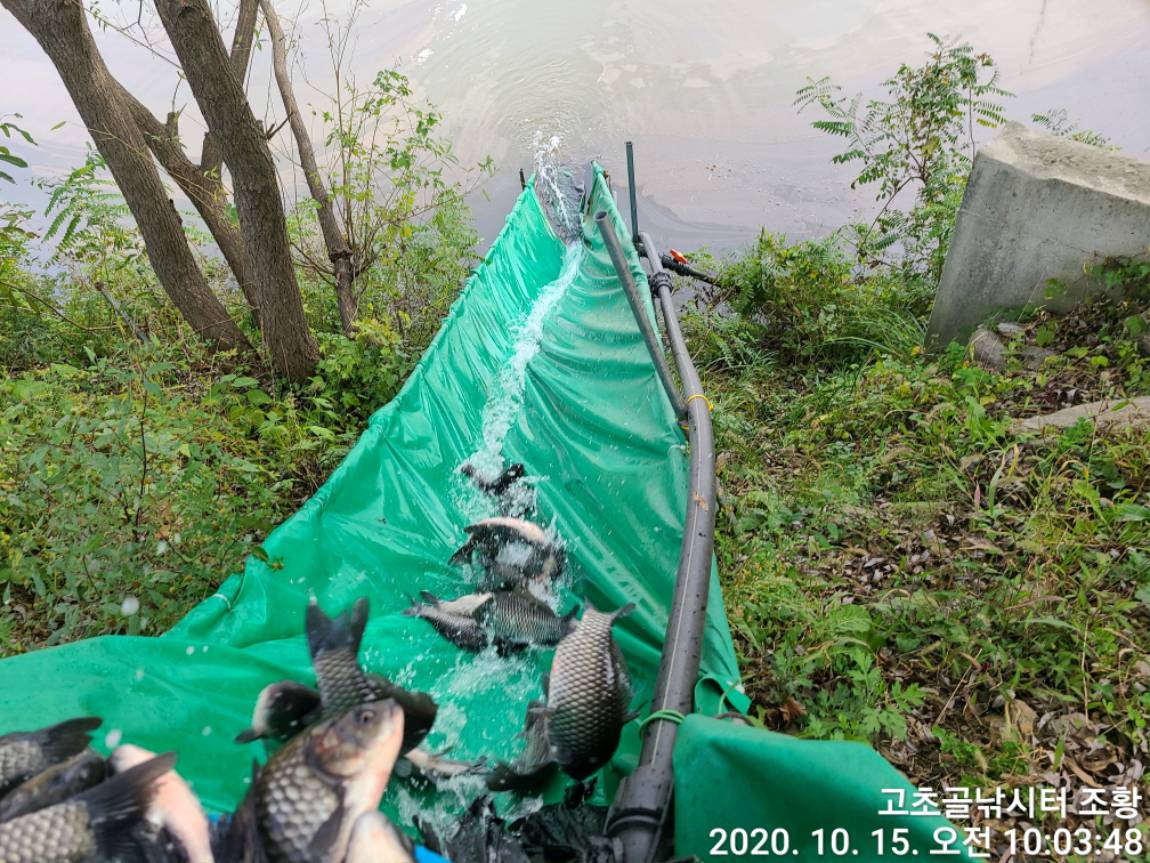 TimePhoto_20201015_100348.jpg