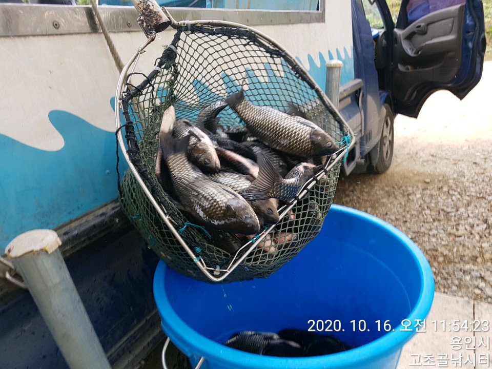 1602892663288-5.jpg