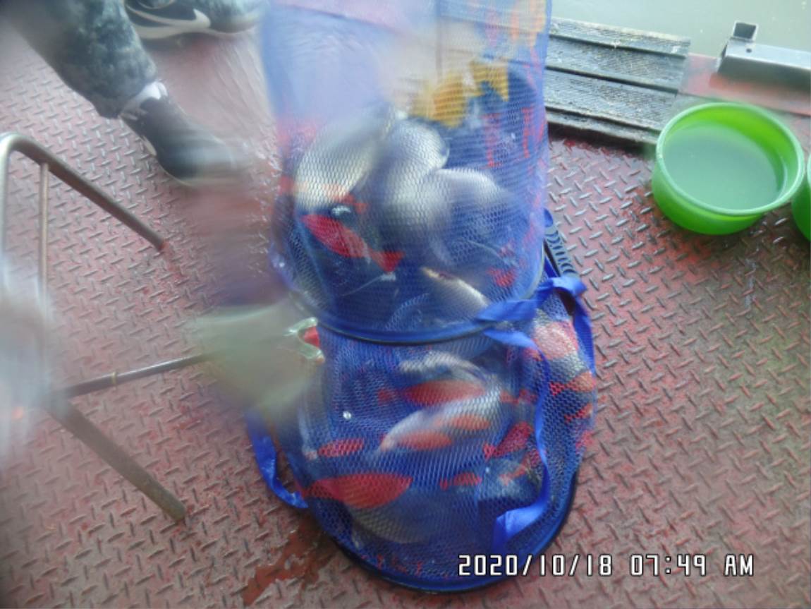 SAM_2406.JPG