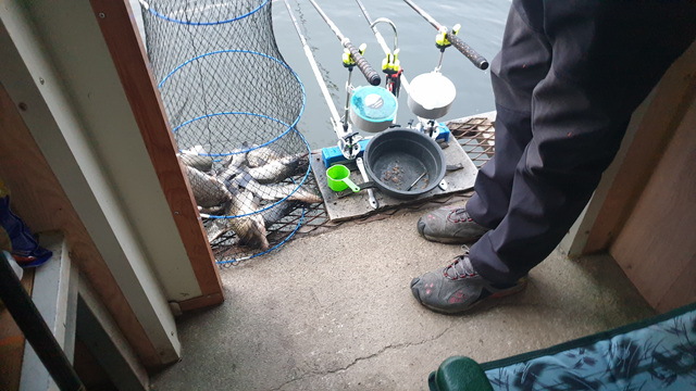 20201021_071200.jpg