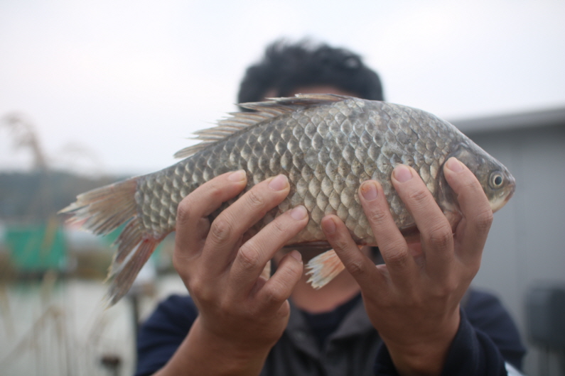 [크기변환]IMG_3235.JPG