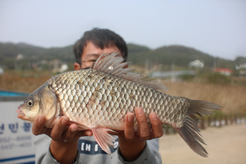 [크기변환]IMG_3467.JPG