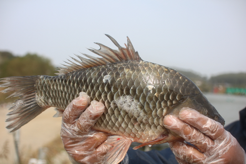 [크기변환]IMG_3469.JPG