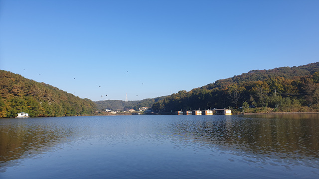 20201025_090220.jpg