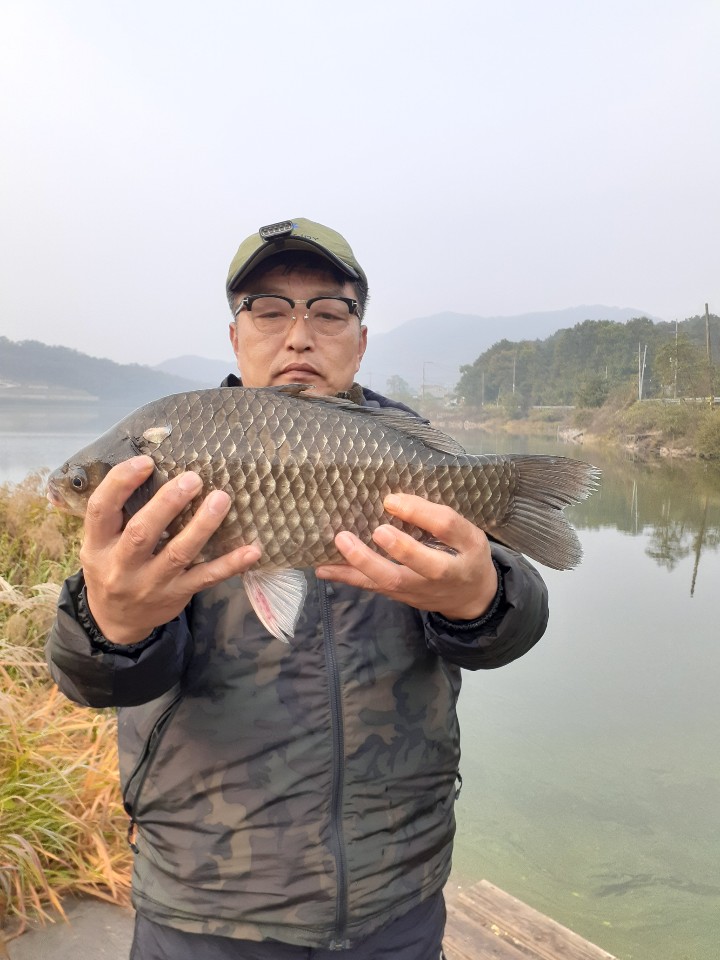 KakaoTalk_20201022_074551434.jpg
