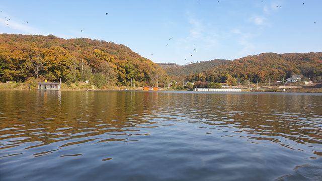 20201028_141659.jpg