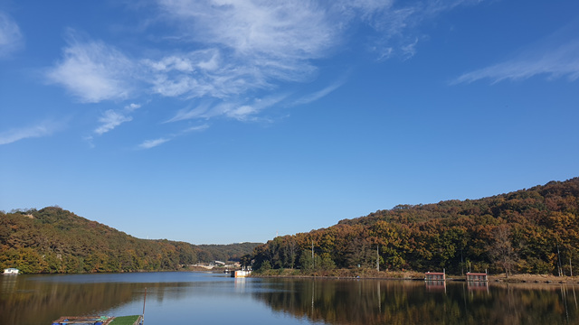 20201029_090808.jpg