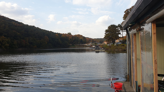 20201031_152206.jpg