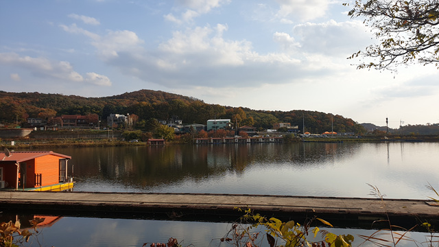 20201031_154458.jpg