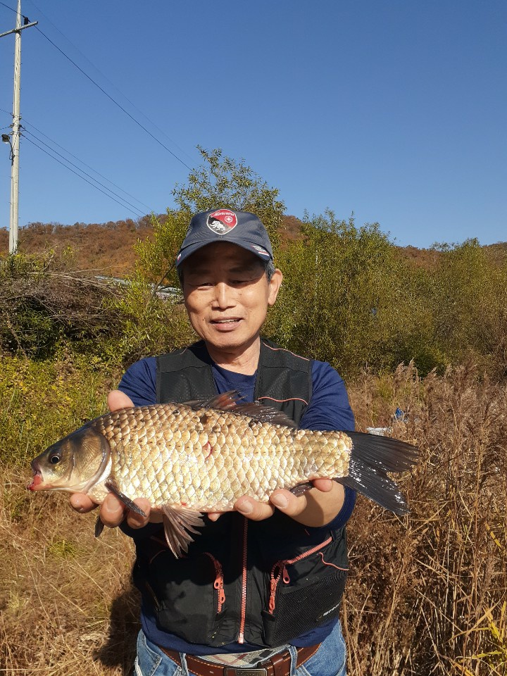 KakaoTalk_20201102_153741617.jpg