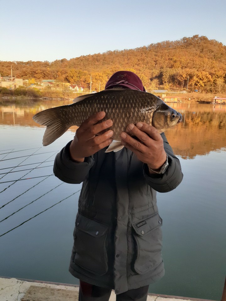 KakaoTalk_20201102_153741778.jpg