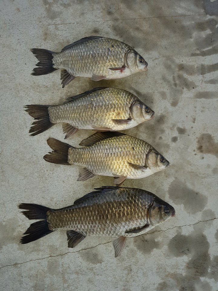KakaoTalk_20201102_153741069.jpg