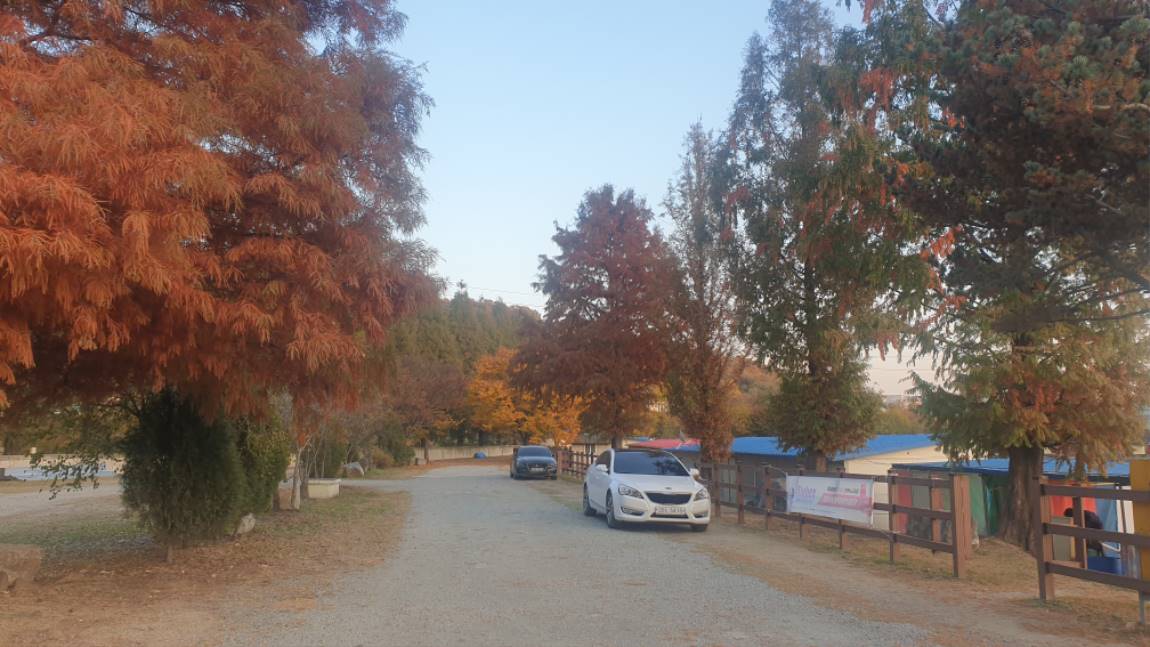 20201102_170910.jpg