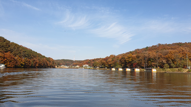 20201105_114323.jpg