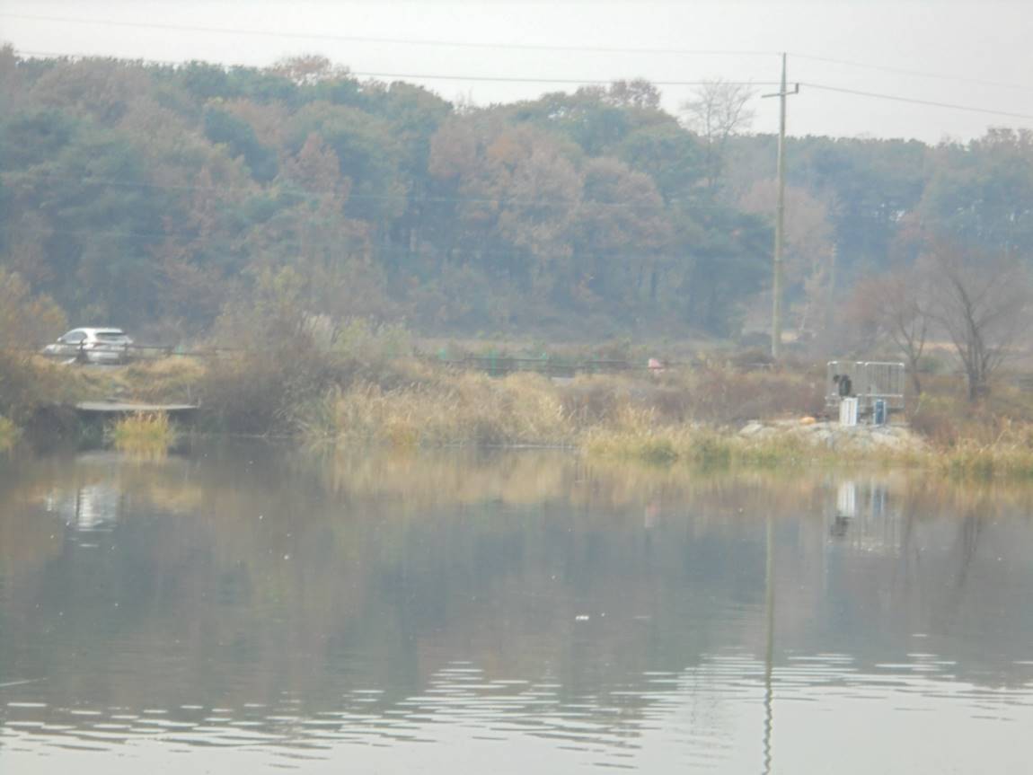 DSC05260.JPG
