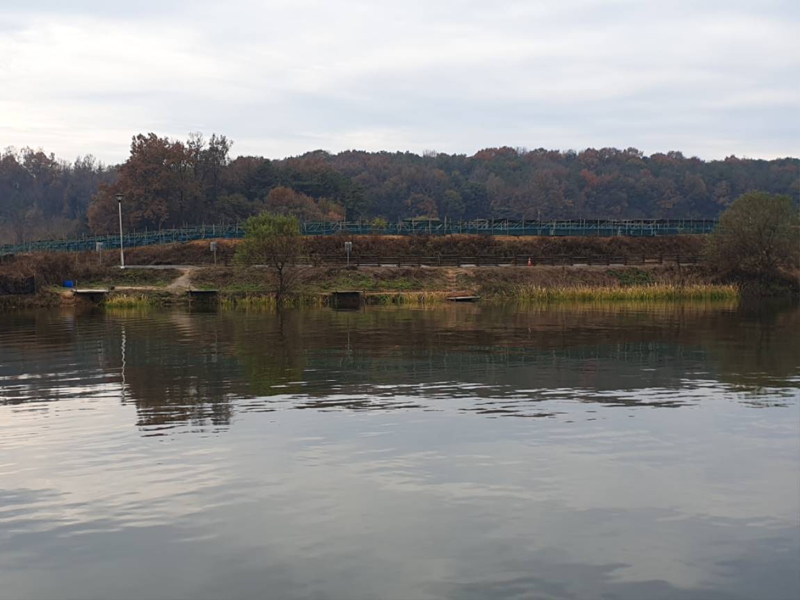 20201106_083249.jpg