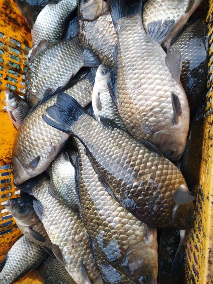 20201106_070918.jpg