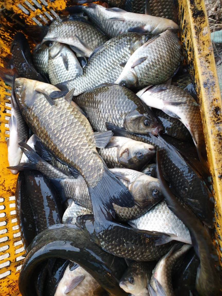 20201106_071132.jpg
