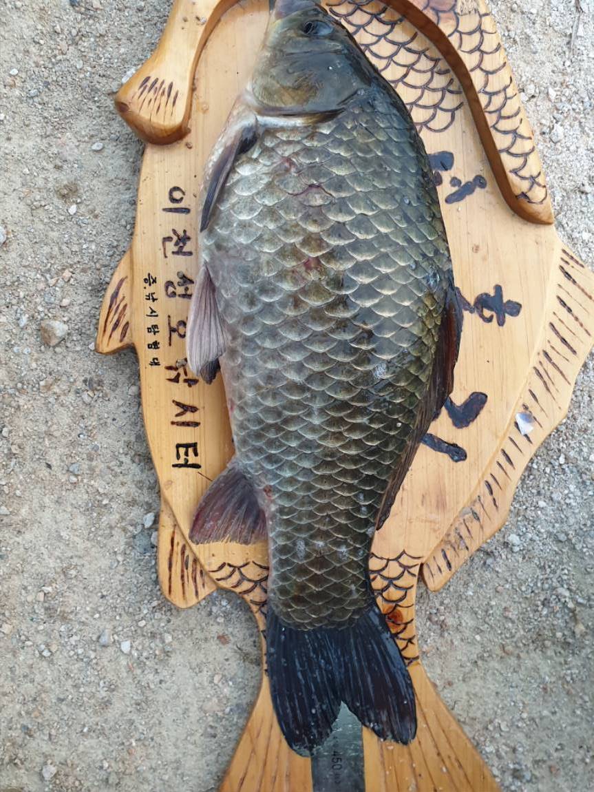 20201106_071305.jpg