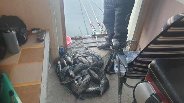 1605149226601-15.jpg