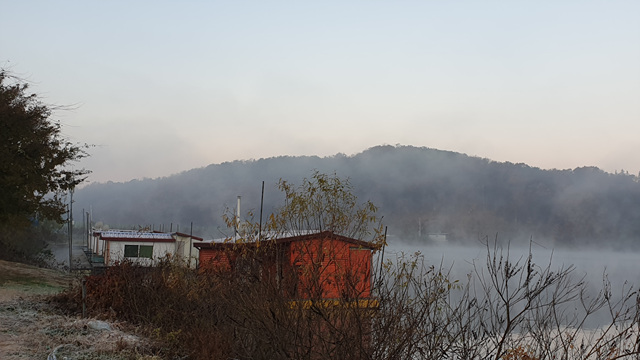 20201111_071125(0).jpg