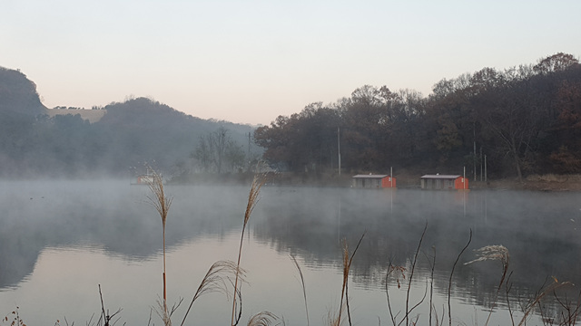20201111_071114.jpg