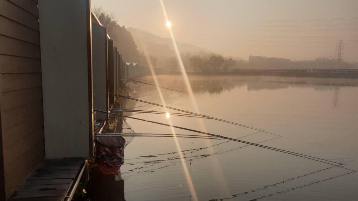 20201114_080343.jpg