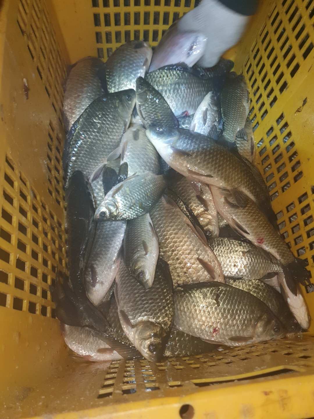 KakaoTalk_20201116_122937741.jpg
