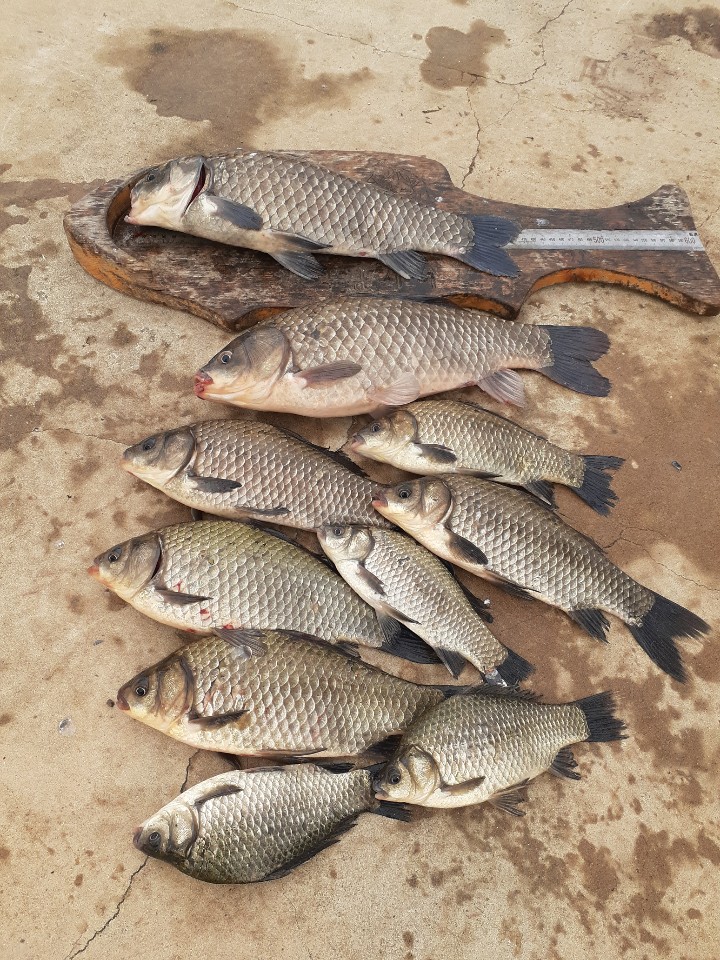 KakaoTalk_20201117_114625465.jpg
