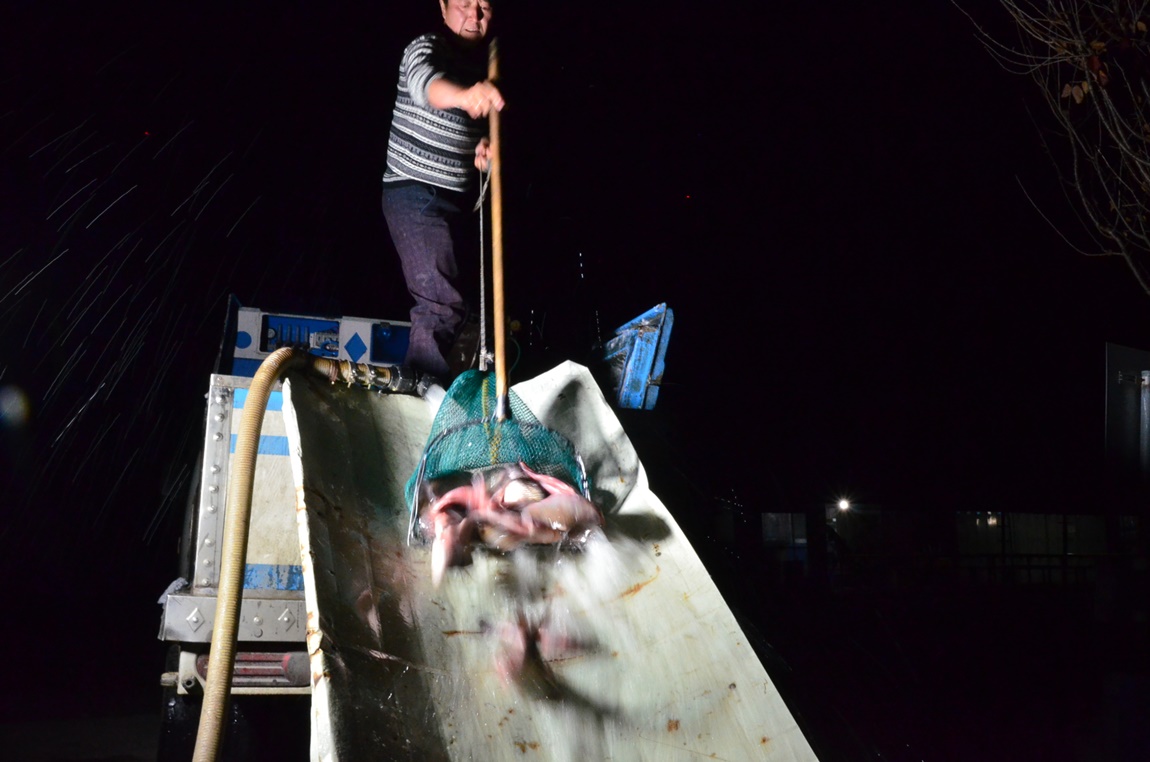 DSC_6093.JPG