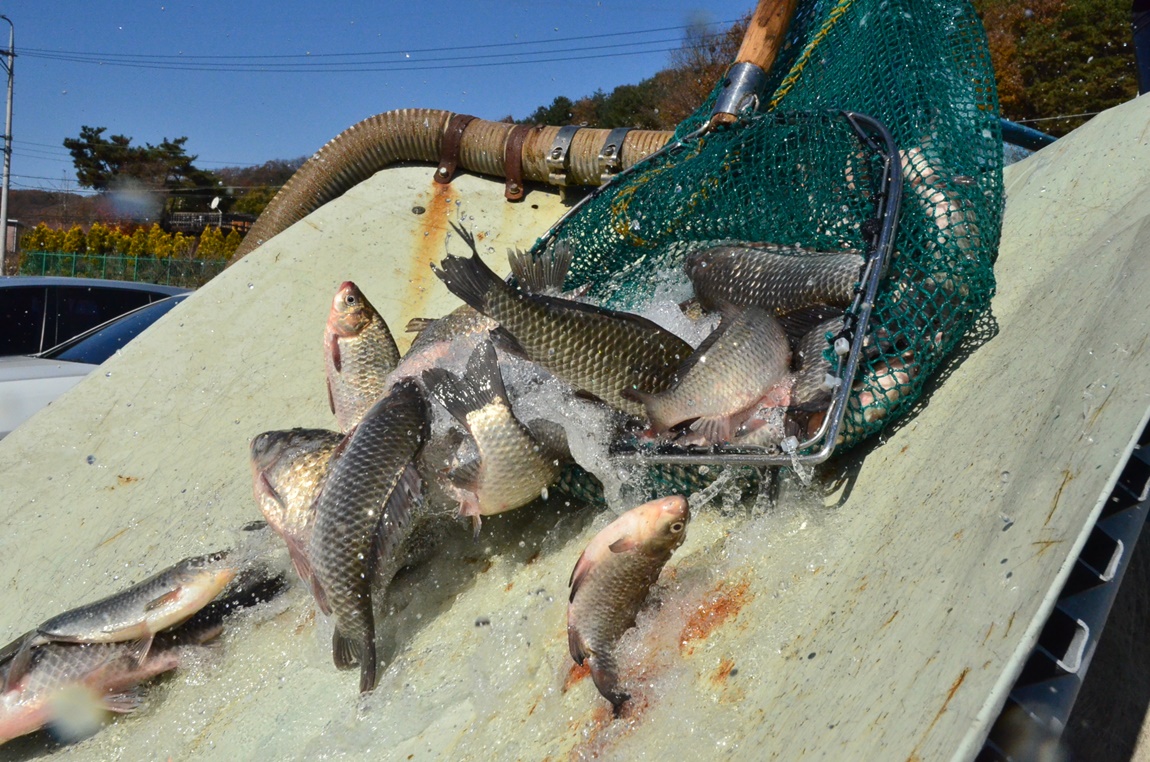 DSC_6125.JPG