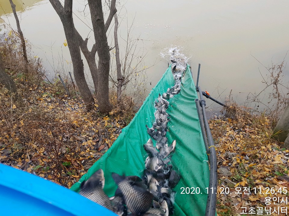 1605839608778-9.jpg