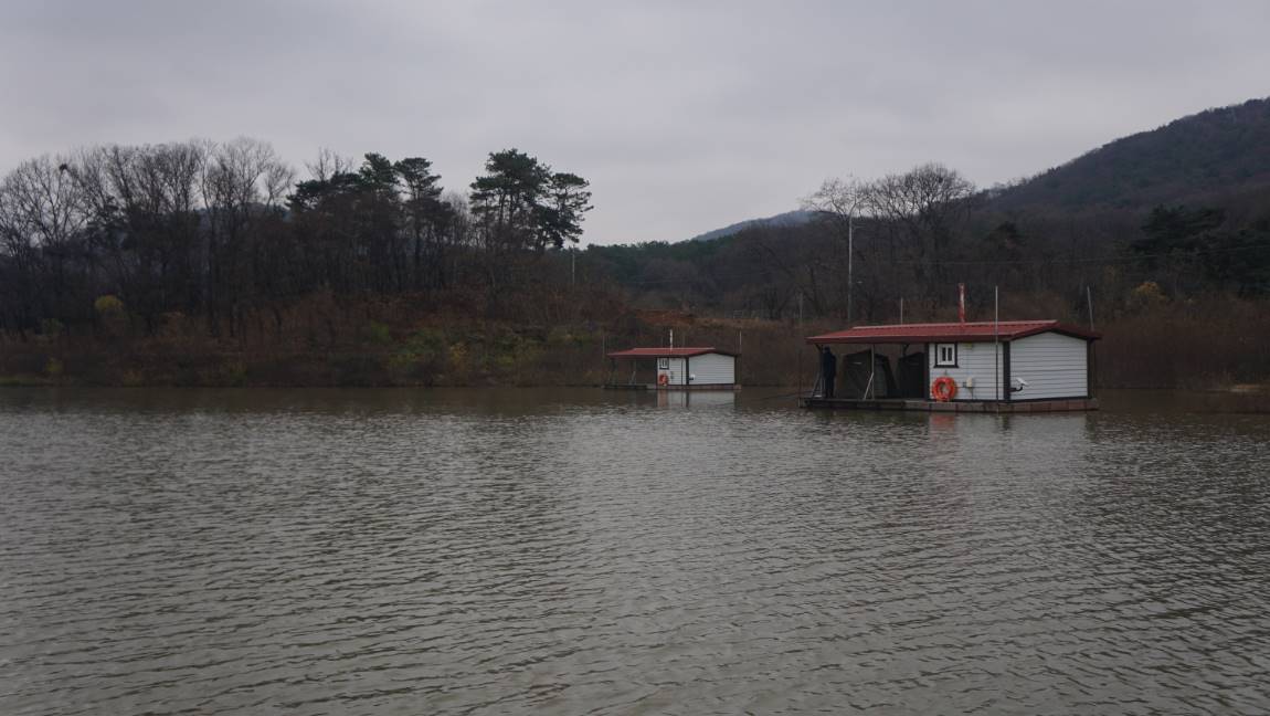 DSC05083-d.jpg