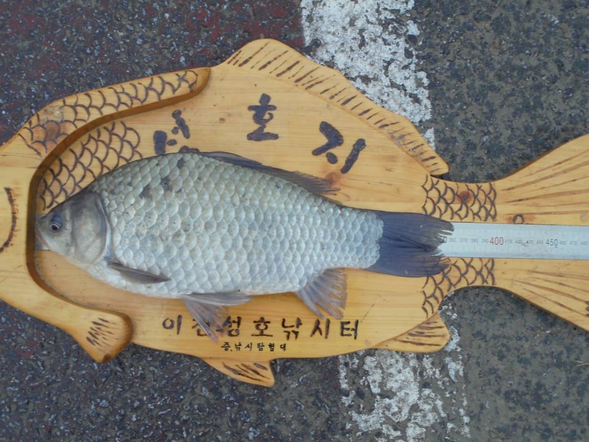 DSC05828.JPG
