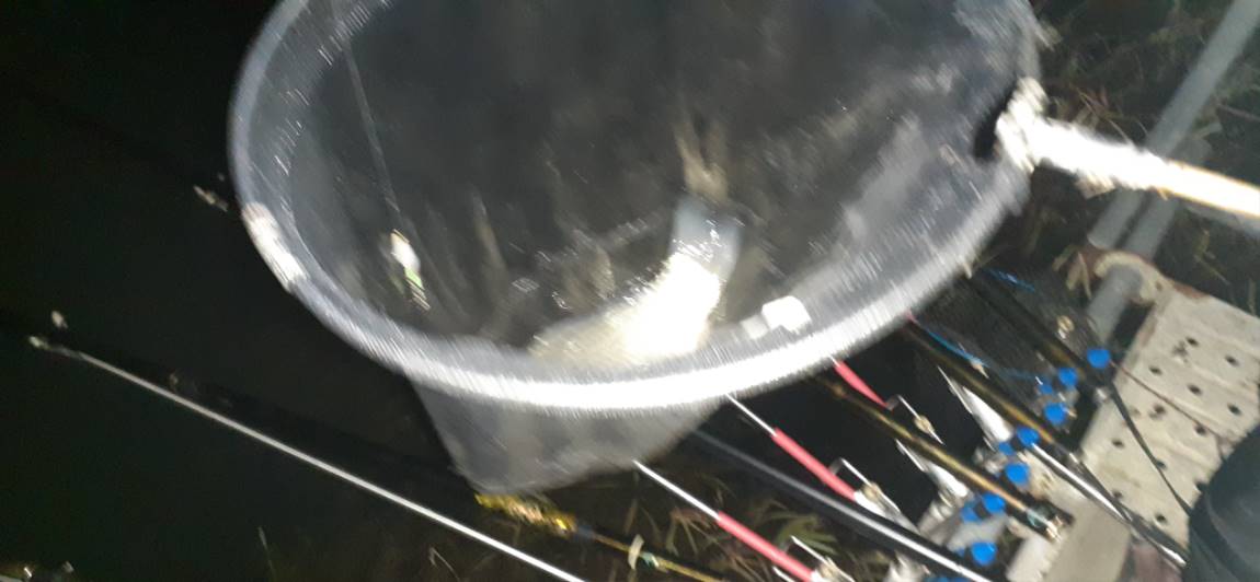 20201202_194829.jpg