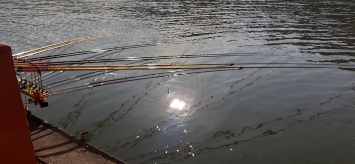 20201203_103005.jpg