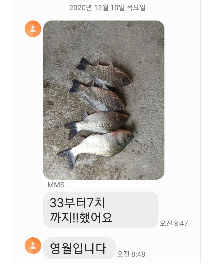 영월조사님문자.JPG