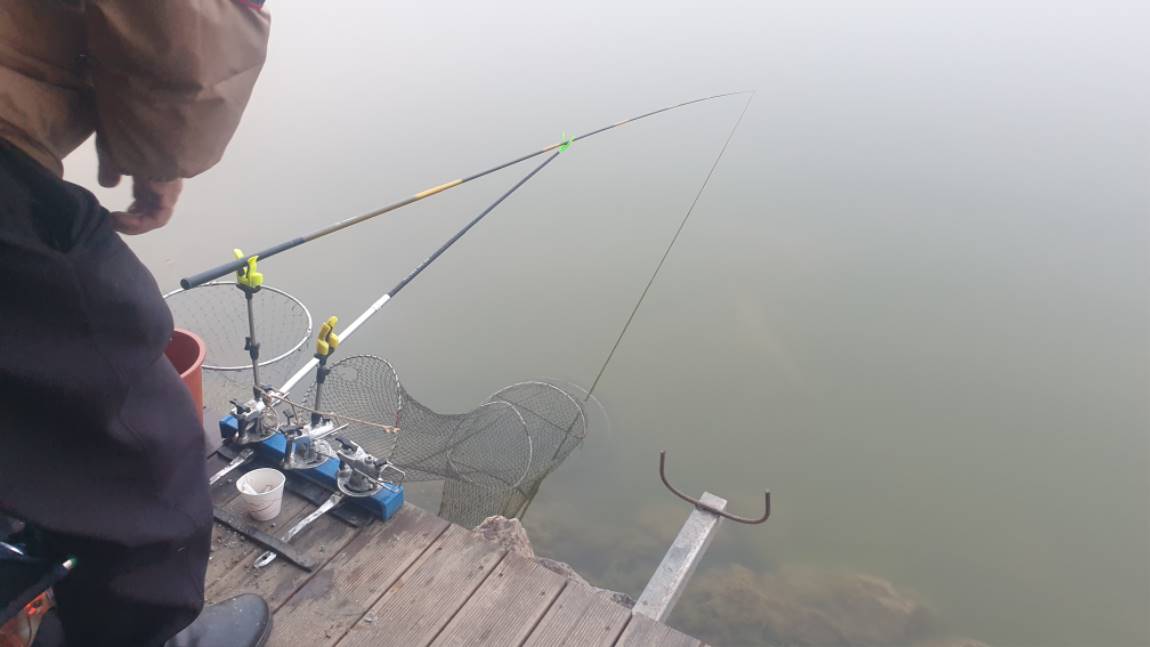 20201211_074824.jpg