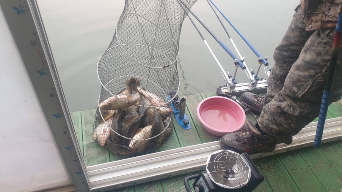 20201211_075514.jpg