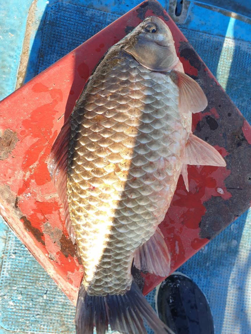 20201216_102516.jpg